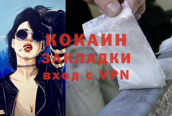 дмт Белокуриха