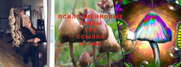 амф Белоозёрский